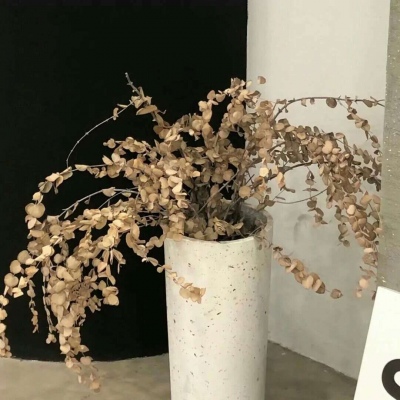 兽设森林场景创作兽圈社群